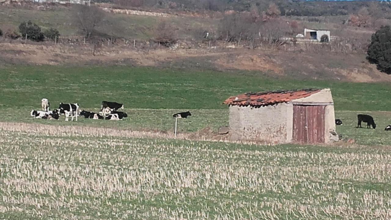 Casa Rural Cal Xico Adrall Экстерьер фото